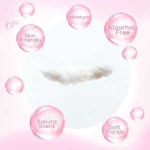 Individually Makeup Remover <b>Wipes</b> Private Label Waterproof Custom Logo Makeup Remover Wet <b>Wipe</b> - Product Image 2