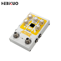Módulo de Efecto de Reverberación Estéreo HEBIKUO AETHER, 9 Efectos Diferentes, Compatible con Grabación en Tarjeta de Sonido para Estudios de Grabación Profesionales