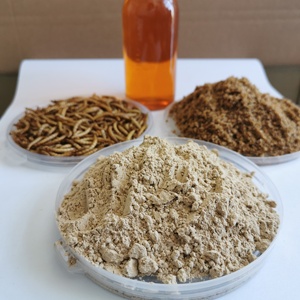 Hot Sale Wholesale High Quality <strong>Tenebrio</strong> - Product Image 4