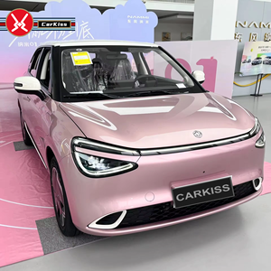 Dongfeng <span class=keywords><strong>Automobile</strong></span> 2026 Nammi 01 330 0m Serie Lite Versione 5 Porte 5 Posti Mini Auto Elettrica in Vendita - Product Image 2