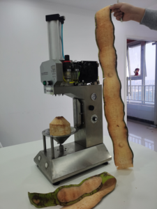 Machine de découpe automatique de fruits et légumes verts frais (noix de coco jeune) en acier inoxydable 304, facile à utiliser – Offre spéciale - Product Image 5