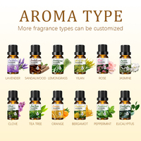 Diffuseur d'huiles essentielles pures de plantes naturelles en vente chaude avec un parfum doux et frais pour l'humidificateur, l'aromathérapie et l'hydratation