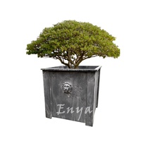 Pot de fleurs et jardinière élégant de style classique pour patio, jardin, véranda, tête de lion, décor carré en zinc gris, métal lourd