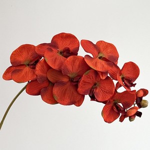 Fleur de Phalaenopsis en Soie Faite Main de Haute Qualité pour Mariage, Décoration Florale de Plafond, Simulation de Design, Vente en Gros de Fleurs de Plafond - Product Image 4