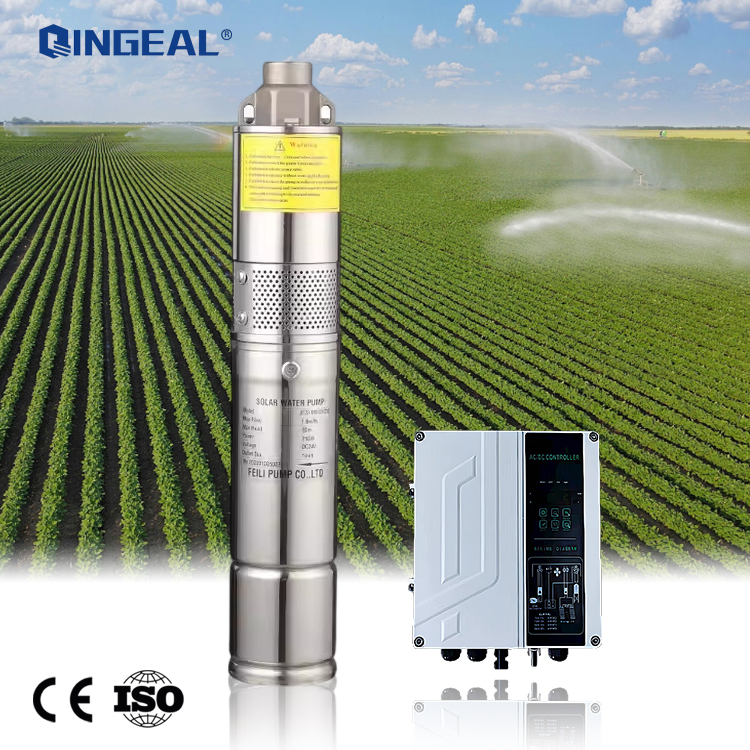 High Efficiency Stainless Steel 1hp 48V Dc Feili Fls Helical Screw Solar Pump Machine for Farming · image 6
