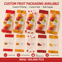 Sac à soufflets latéraux refermable de qualité alimentaire PET/PE avec trous respirants pour l'emballage des fruits