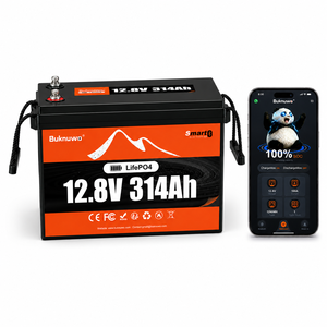 แบตเตอรี่ US Stock 12V 314AH Lifepo4 4019Wh 200A BMS สำหรับระบบพลังงานแสงอาทิตย์สำรองไฟบ้าน - Product Image 1