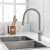 Keran Dapur Modern Satu Gagang Tarik Turun dengan Inti Katup Keramik Pemasangan Satu Lubang untuk Penggunaan Hotel