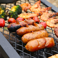 Grille de barbecue pliable portable pour le camping en plein air, grille de barbecue en métal, table miniature ultralégère pour le camping, la randonnée, le pique-nique, le barbecue