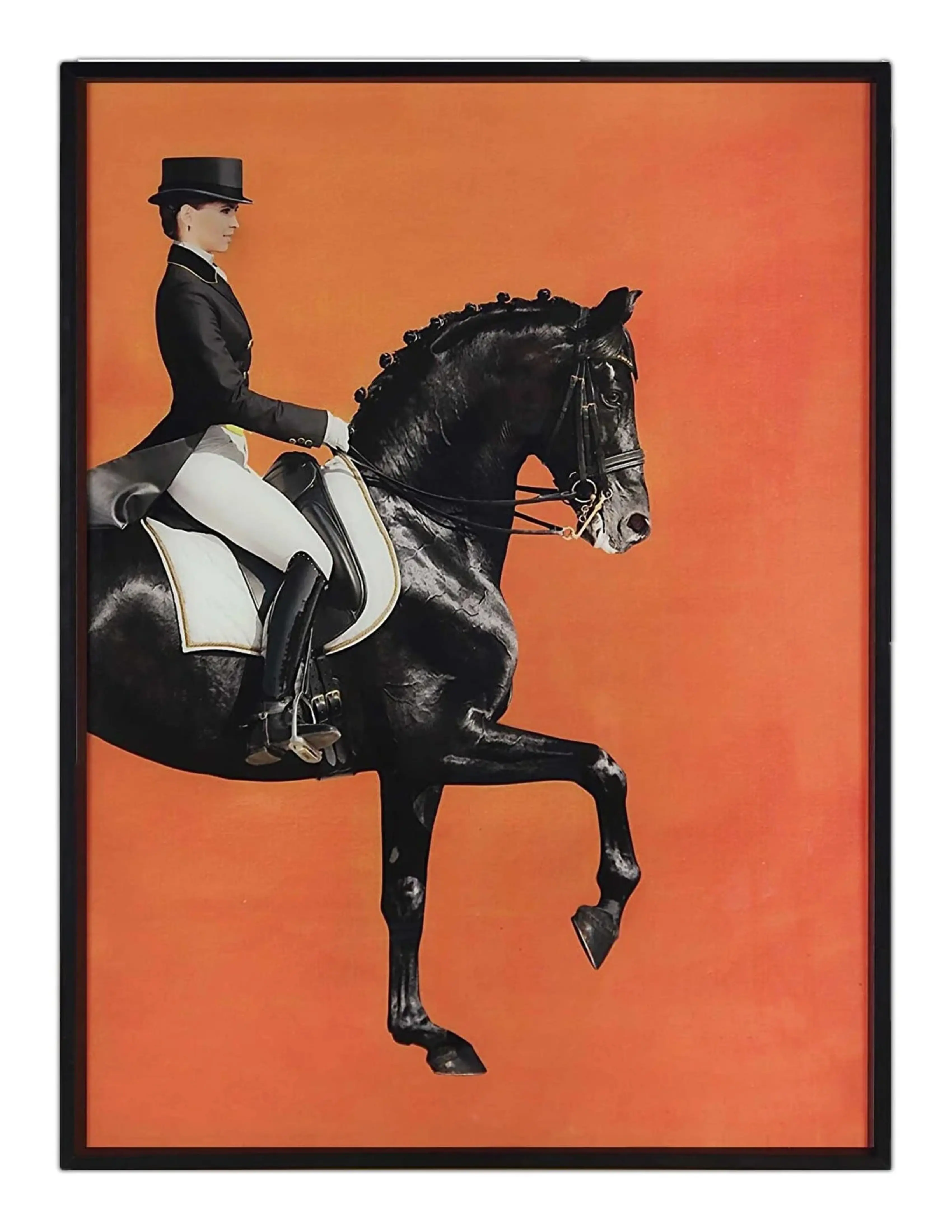 Mira 1045 Noir Orange Thème Cheval et Motif D'équitation Tissé Tapis De Sol Tapis Lavable Tissé Semelle Rectangle