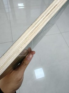 Pannelli in <span class=keywords><strong>compensato</strong></span> per casseforme con anima in legno e rivestimento in PP, riutilizzabili 25 volte - Product Image 4