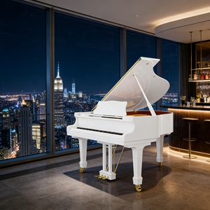 Nouveau design, <span class=keywords><strong>piano</strong></span> droit acoustique en bois massif, étanche et anti-poussière, pour <span class=keywords><strong>jouer</strong></span> en extérieur, dans le jardin ou lors de fêtes - Product Image 4