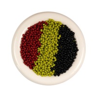 Petits modèles de haricots simulés (haricots mungo, haricots rouges, haricots noirs), kit d'accessoires pour la confection artisanale de desserts au sucre et d'articles DIY