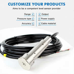 Capteur de niveau de liquide submersible GLT5001 1m 2m 3m 5m 4-20mA RS485 pour carburant, kérosène, essence, huile, diesel - Product Image 5