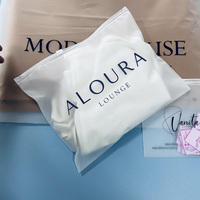 Sac Zippé en Plastique Biodégradable Transparent Personnalisé avec Logo pour T-shirt, en PE/PP, Vente Directe Usine