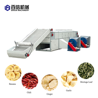 Vente directe usine : Machine de séchage automatique à bande transporteuse en acier inoxydable pour légumes, herbes, cardamome, dattes rouges et manioc