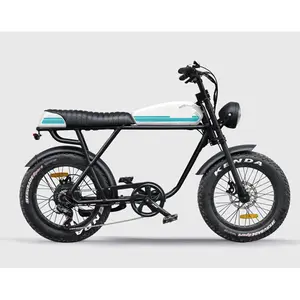 모토 일렉트릭 52V 듀얼 모터 20Ah 2000W 레트로 스노우 비치 크루저 팻 타이어 슈퍼 전기 자전거 73 자전거 enduro ebike