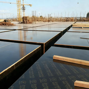 Placa <span class=keywords><strong>de</strong></span> Contrachapado para Hormigón <span class=keywords><strong>de</strong></span> Doble Cara con Revestimiento <span class=keywords><strong>de</strong></span> Película, 4*8 18mm, <span class=keywords><strong>de</strong></span> Alta Calidad y Bajo <span class=keywords><strong>Precio</strong></span>, Aprobada por FSC y CARB - Product Image 1