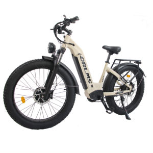 Vélo électrique tout-terrain EB26 26 pouces à pneus larges, moteur central, batterie lithium 48V 23AH, cadre en alliage d'aluminium, double moteur sans balais - Product Image 1
