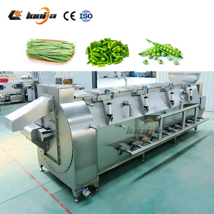 Machine de Blanchiment Alimentaire à Convoyeur Spirale à Manipulation Douce pour Chips de Banane, <span class=keywords><strong>Épinards</strong></span> et Champignons - Product Image 1