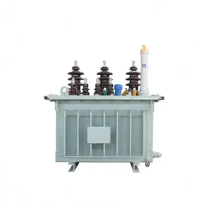 Transformador de Distribución de Energía Eléctrica Trifásico Compacto de Baja Capacidad, Tipo Sumergido en Aceite - Product Image 2
