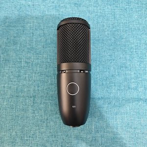 Micrófono de Condensador Profesional P120 de Bajo Ruido para Grabación en Estudio, Doblaje de Voz, Transmisión en Vivo en Línea - Product Image 3