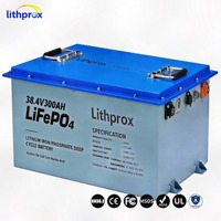Batteria al Litio per Trazione 38.4V 300Ah Grado Automobilistico LiFePO4 con Protezione da Sovraccarico per Fabbriche e Magazzini Certificata CE UL UN38.3 - Vendita all'Ingrosso