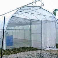 Serres agricoles à toit en film plastique à simple portée avec ventilation supérieure
