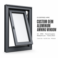 Ventana de Aluminio Personalizada con Toldo Superior, Certificación CE NFRC, Aislamiento Térmico Low-E, Cierre Multipunto, Venta al Por Mayor OEM