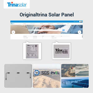 Panel Solar Trina Tipo N de Doble Vidrio 700w 650w 630w 610w, Paneles Solares Bifaciales - Product Image 4