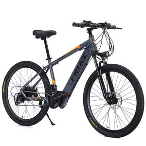 Vélo de montagne électrique à pneus larges de 26 pouces, frein à disque mécanique, acier à haute teneur en carbone, 21 vitesses, 36V 8Ah, vitesse rapide, <span class=keywords><strong>VTT</strong></span> pour adultes - Product Image 1