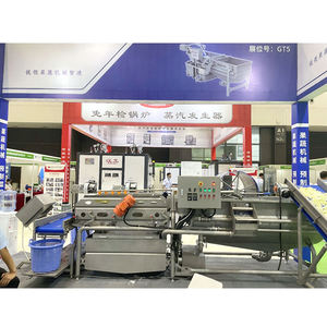 Linea di Produzione per Spinaci, Lattuga, Cavolo, Frutta e Insalata, Linea di Produzione per Taglio, Lavaggio e Confezionamento di Verdure a Foglia - Product Image 4