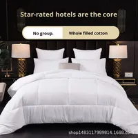 Fournisseur de couettes pour l'hôtellerie |   Housse anti-duvet en coton + Rembourrage en microfibre |   Commande en gros, étiquette/emballage OEM, plusieurs tailles