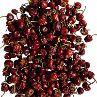 PIMENT ROUGE GUNDU DE QUALITÉ SUPÉRIEURE DE LA MARQUE RGPL, SÉLECTIONNÉ À LA MAIN, FABRIQUÉ EN INDE, EMBALLAGE SAC PP 25/50KG