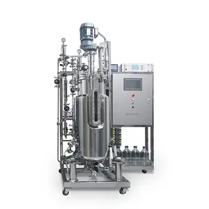 เทคโนโลยีการต้มสแตนเลสถังจุลินทรีย์เครื่องปฏิกรณ์ชีวภาพหมัก Fermenter 200l