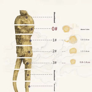 Beijing Tongrentang Presidente American Ginseng Tabletas secas 100g Suplementos importados de EE. UU. Regalo para ancianos y padres - Product Image 6