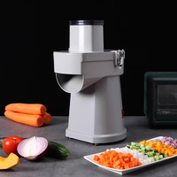 Kleine huishoudelijke multifunctionele groente- en fruitsnijder, -schaaf en -slicer voor wortelen, kool, ui, aardappel en het maken van blokjes