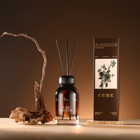 Diffuseur de parfum en verre professionnel OEM longue durée avec huiles essentielles fruitées sans flamme pour la décoration intérieure