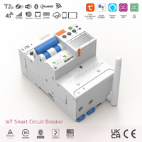 Interruptor de Circuito Inteligente IoT MCB RCBO con Medidor WiFi RS485 Tuya Tetra CEC UKCA IEC60947 Modbus 10kA, Equipo Electrónico de Cobre