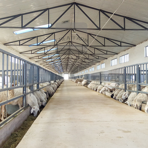 Equipo de crí<span class=keywords><strong>a</strong></span> de animales económico Diseño de granja nuevo y usado con motor confiable de ganado vacuno oveja cabra <span class=keywords><strong>vaca</strong></span> - Product Image 2
