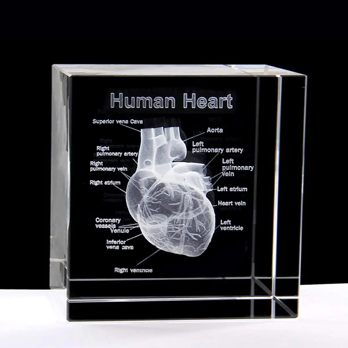 Honor de cristal cubo de cristal 3D corazón humano con etiquetas modelo anatómico estatua pisapapeles cubo de cristal