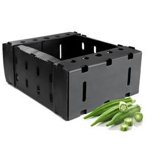 Emballage <span class=keywords><strong>de</strong></span> gombo 3mm pour produits en plastique PP Planche à découper Boîte <span class=keywords><strong>de</strong></span> retournement en polypropylène pour œufs et fruits <span class=keywords><strong>de</strong></span> mer - Product Image 1