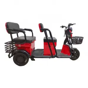 Strong Skd 3 Wheel 2022 Electric Cargo Box Tricycle For Men Use