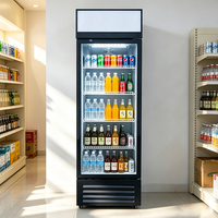 Enfriador Comercial para Bebidas y Cerveza, Control de Temperatura Mecánico, Enfriamiento Directo, Exhibidor de Vino, Congelador para Supermercado
