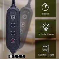 Lampe d'aromathérapie en bois, chauffe-cire électrique avec minuterie et variateur d'intensité, réglable en hauteur, en métal