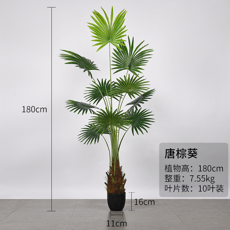 180CM