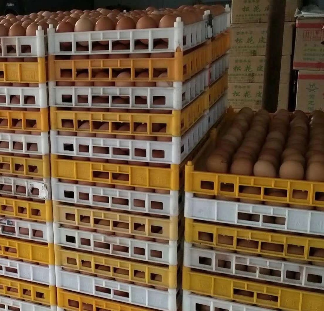 Пластиковая коробка для яиц