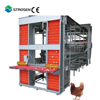 Offre Spéciale durable grand poulailler aviculture équipement meilleur prix automatique poules pondeuses à vendre