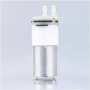 Oem Odm servizio Mini Dc Micro pompa Dc per dispositivo di massaggio Micro 12v Dc pompa dell'acqua
