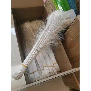 Bán Buôn Chất Lượng Cao Tẩy Trắng Nhuộm Con Công Màu Trắng Lông Đuôi Trang Trí Ấn Độ Con Công Đuôi Bộ Lông Cho Thủ Công Đồ Trang Sức - Product Image 5